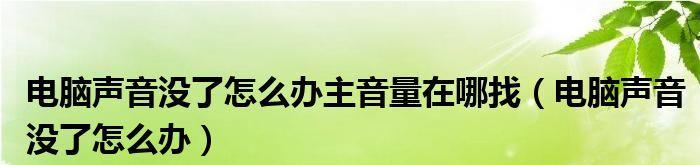 电脑连接音响无声音的解决方法（解决电脑连接音响后没有声音的常见问题及解决方案）