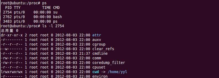 Linux查看进程命令行的实用技巧（掌握ps和top命令）